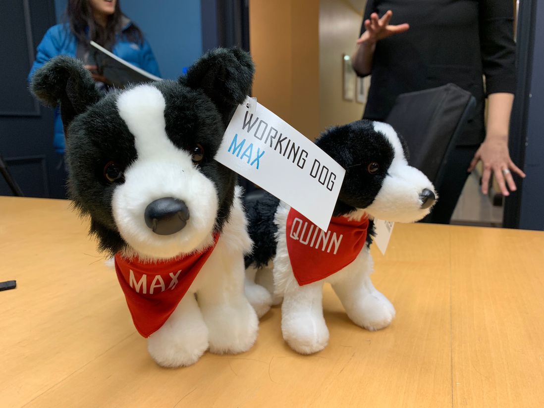 If you want a working dog of your own, you can get a stuffed animal version <a href="https://govisland.com/get-involved/donate/give-gift">right here</a>. They're pretty accurate representations...